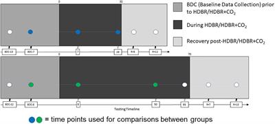 Head-Down-Tilt Bed Rest With Elevated CO2: Effects of a Pilot Spaceflight Analog on Neural Function and Performance During a Cognitive-Motor Dual Task